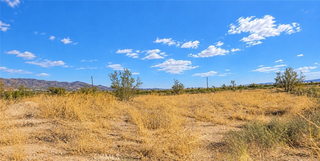 0 Palmdale Property Photo 3