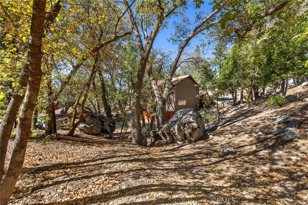 33404 Music Camp Rd Property Photo 6