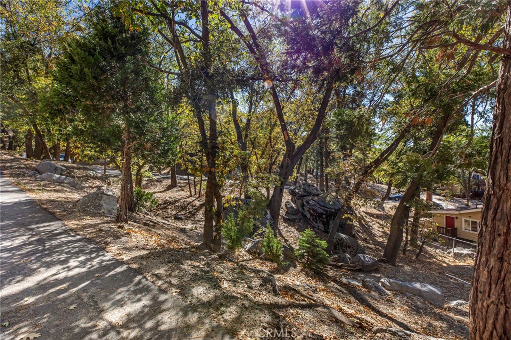 33404 Music Camp Rd Property Photo 9