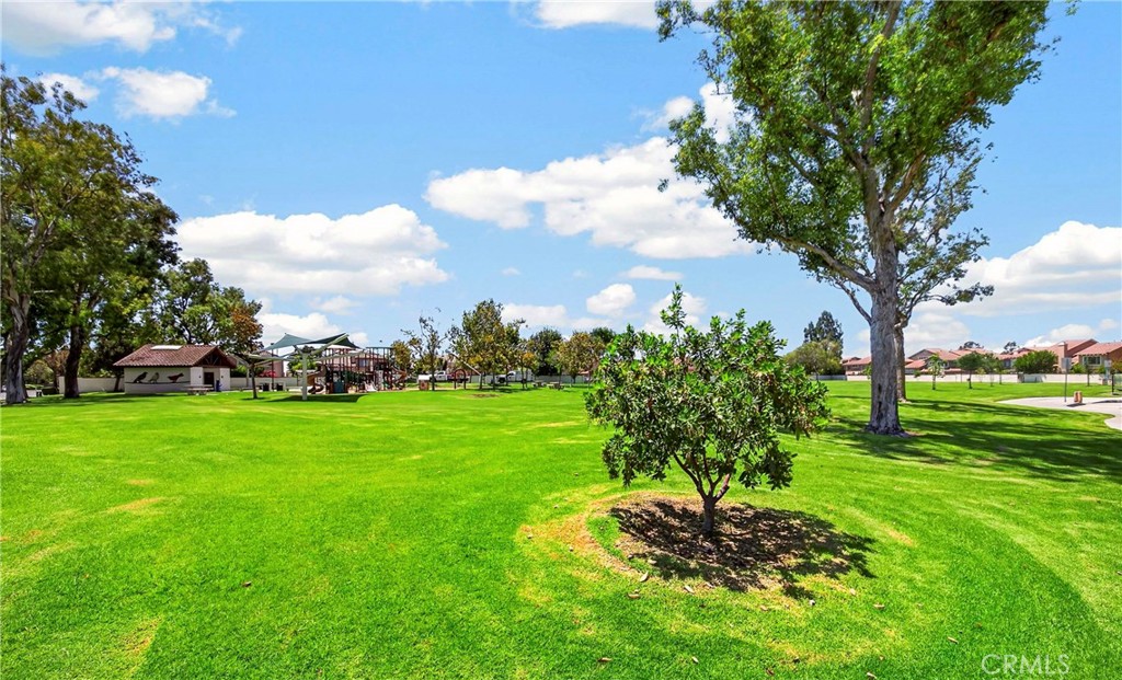 13410 Via Alicante Property Photo 38