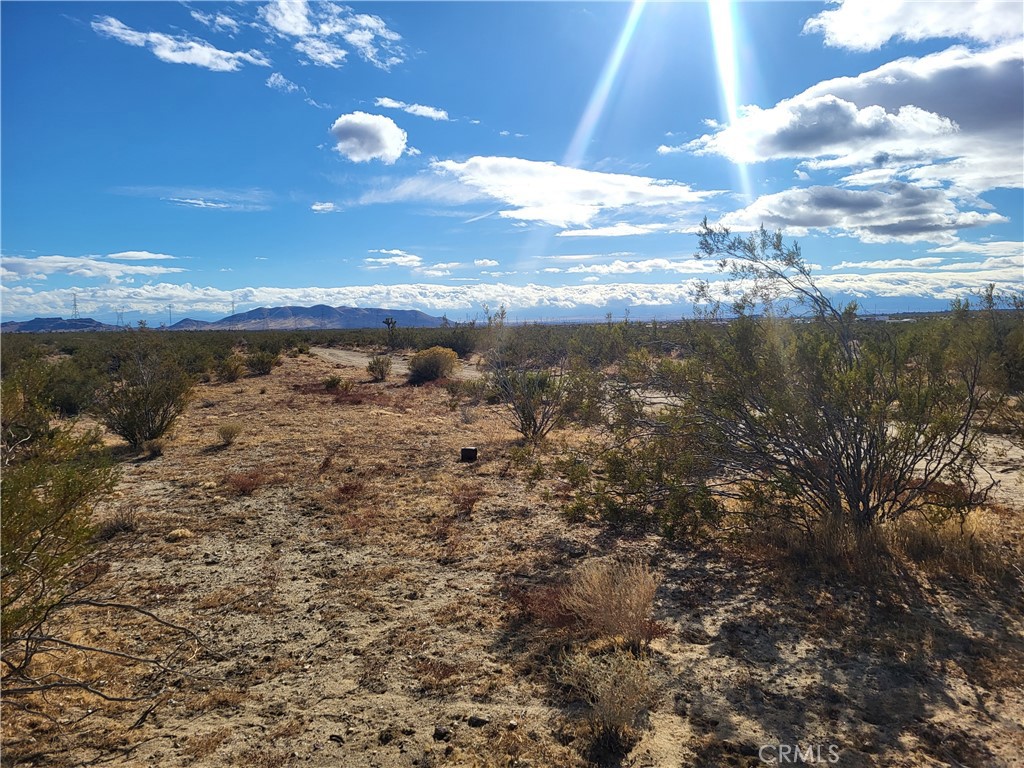 0 Backus Road Property Photo 2