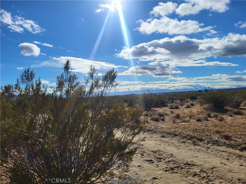 0 Backus Road Property Photo 4