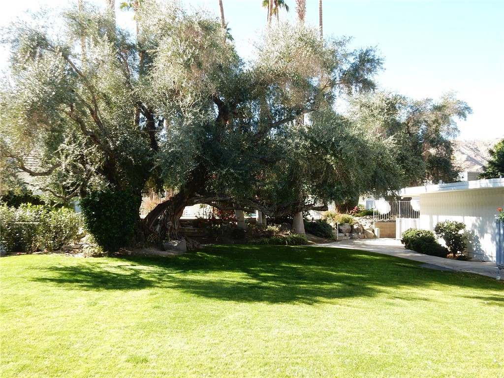 42278 Dunes View Road 28 Property Photo 51