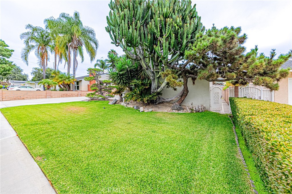 12256 Lesley Street Property Photo 33