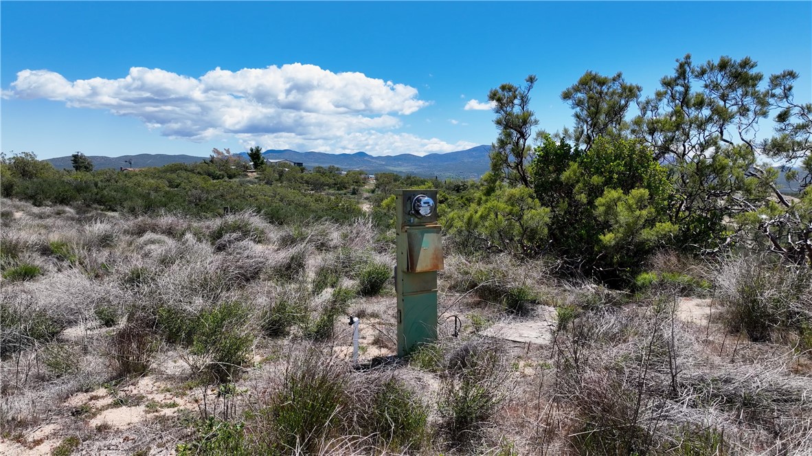 39840 Haupert Road Property Photo 15