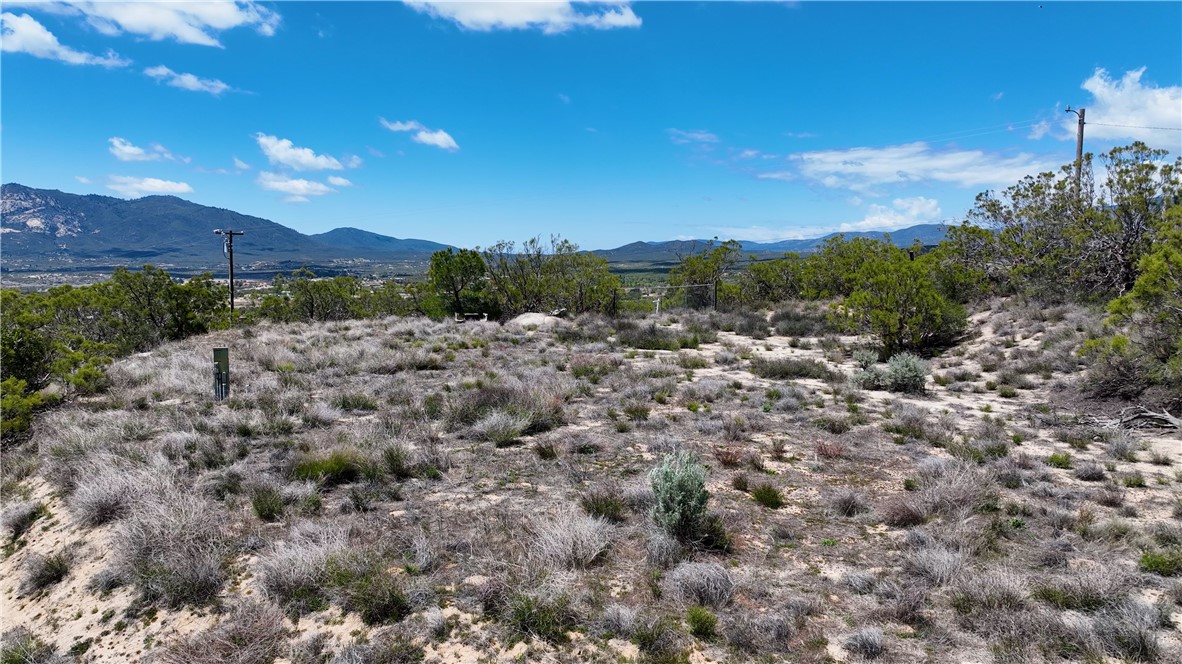 39840 Haupert Road Property Photo 16
