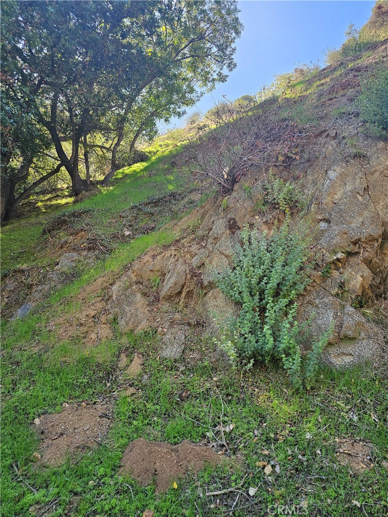 2145 Laurel Canyon Boulevard Property Photo 1