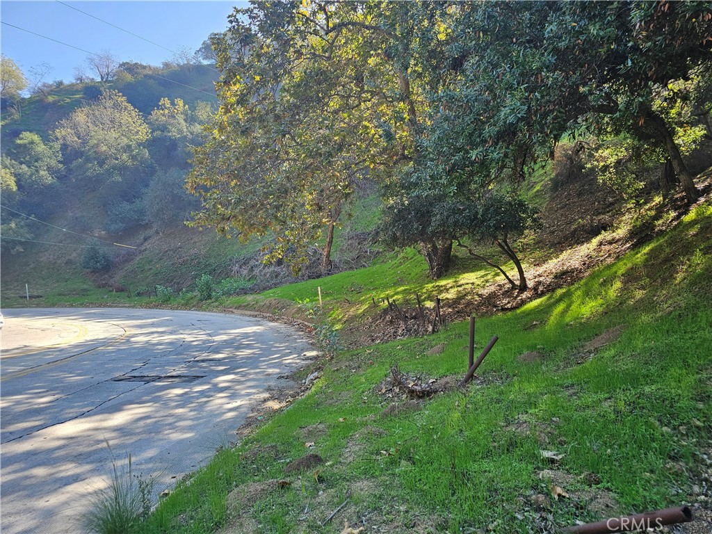 2161 Laurel Canyon Boulevard Property Photo 1