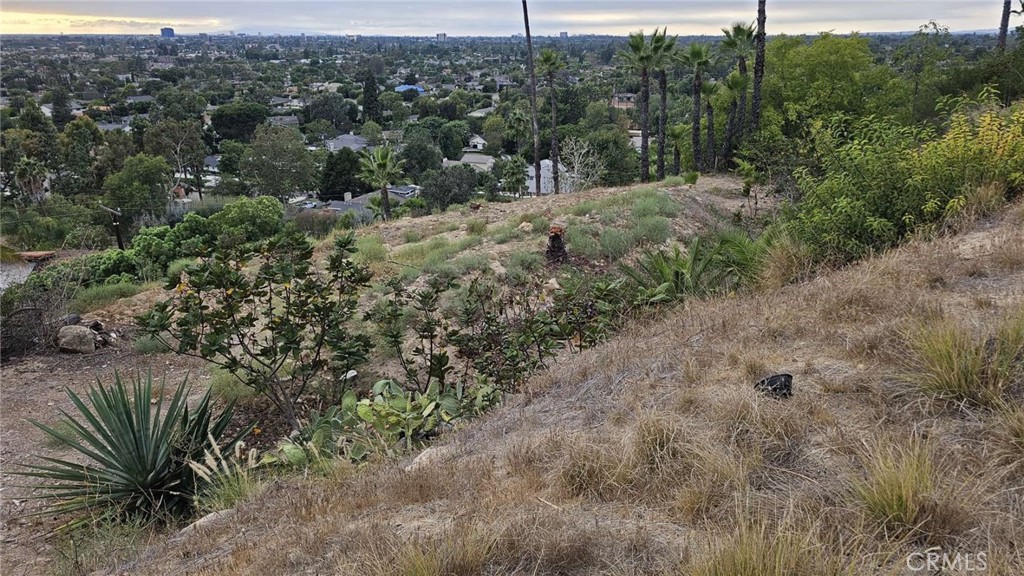 1822 Loma Roja Property Photo 3