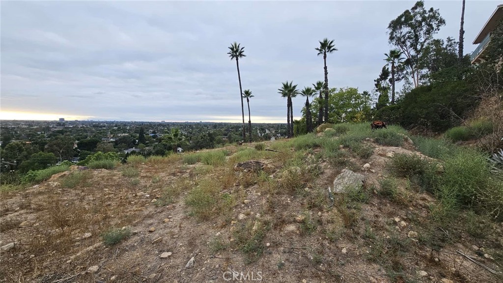 1822 Loma Roja Property Photo 4