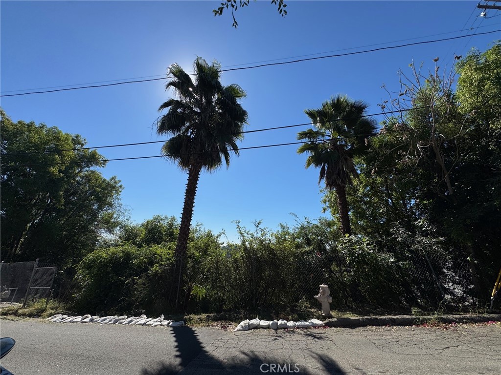 5000 La Calandria Property Photo 4