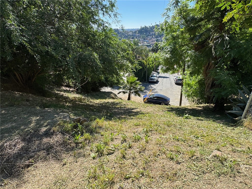 5000 La Calandria Property Photo 8
