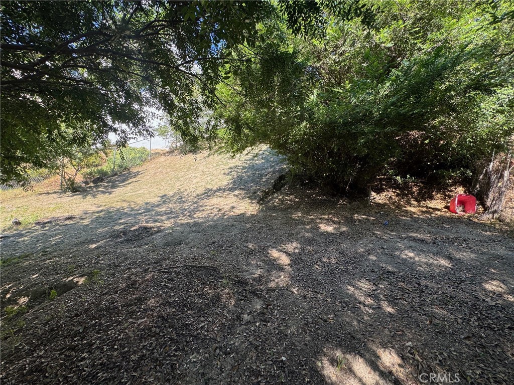 5000 La Calandria Property Photo 10