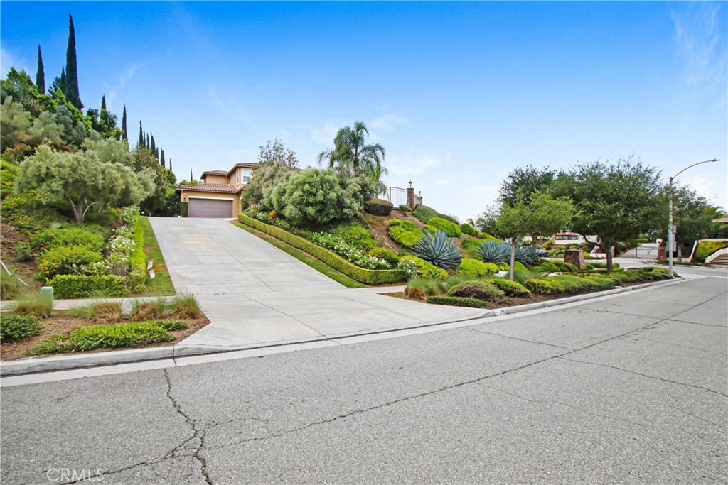 498 Green Orchard Property Photo 3