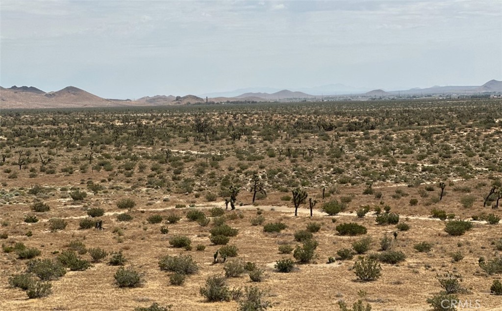 34529318 Mojave Property Photo 2