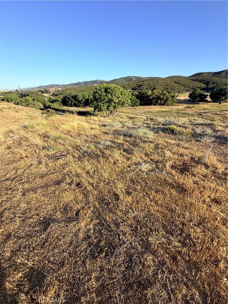 0 Kiptree Property Photo 5