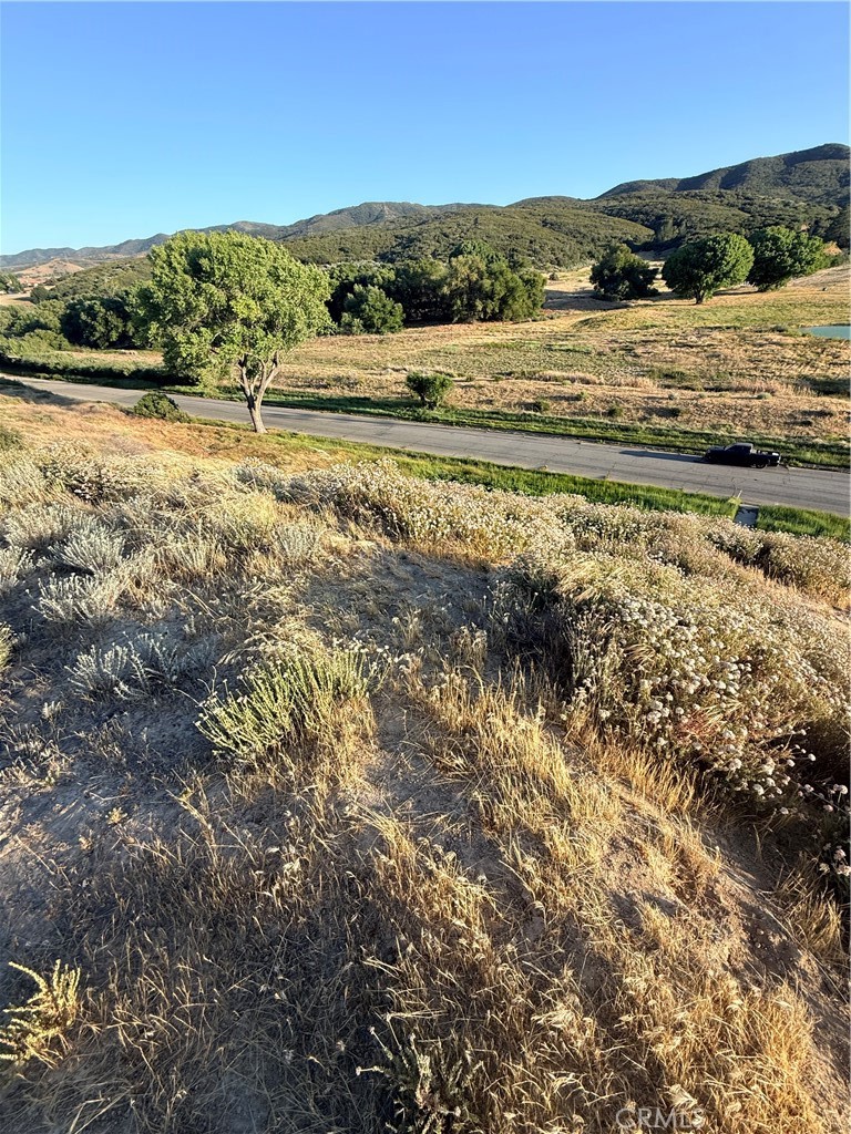 0 Kiptree Property Photo 6