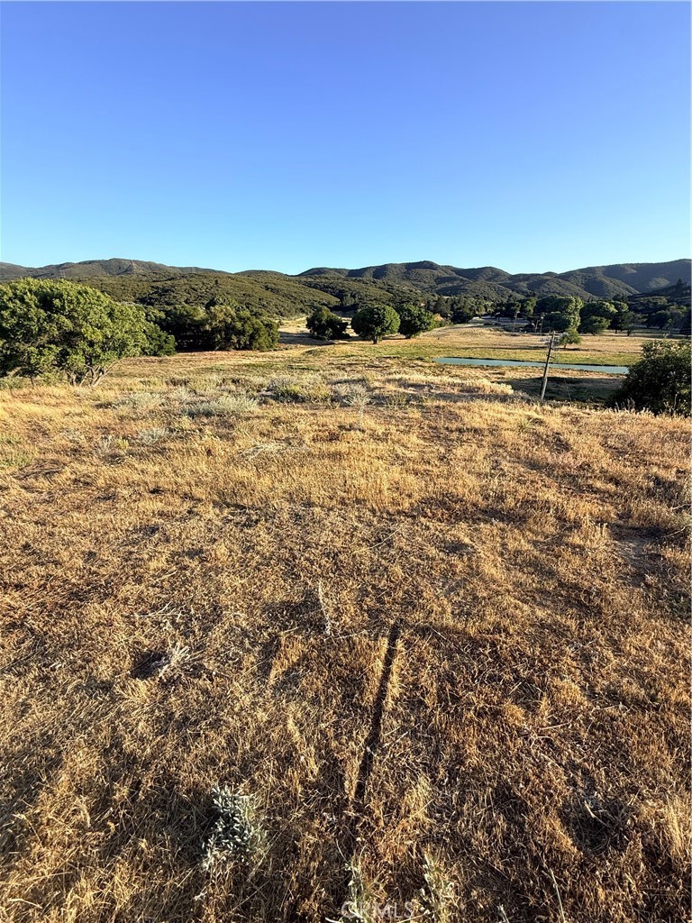0 Kiptree Property Photo 8