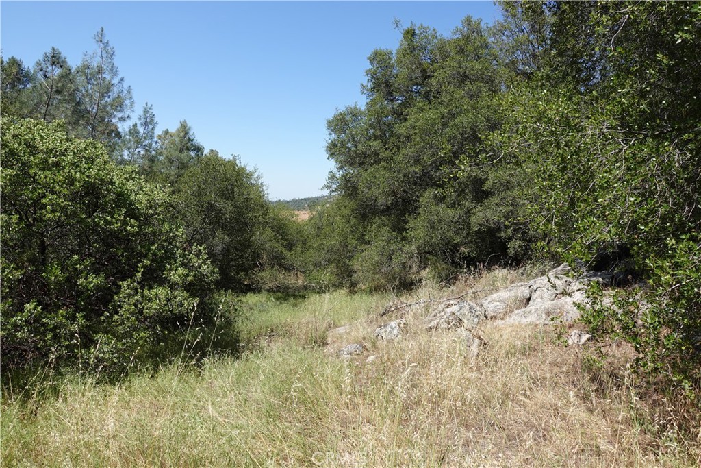 0 RUNNING DEER WAY Property Photo 1