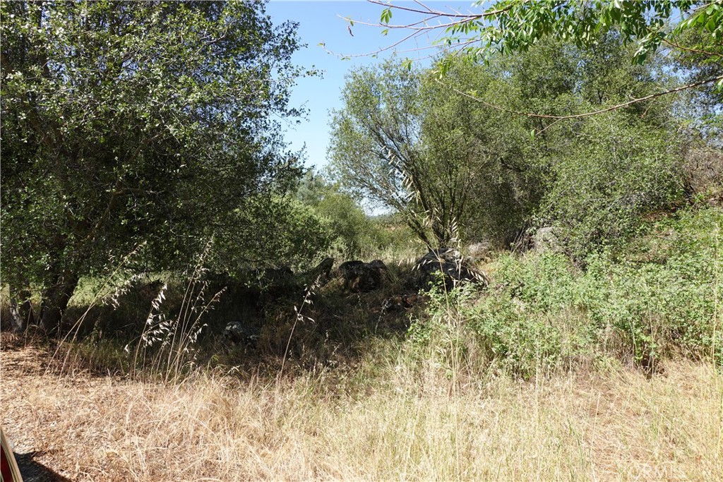 0 Running Deer Way Property Photo 2