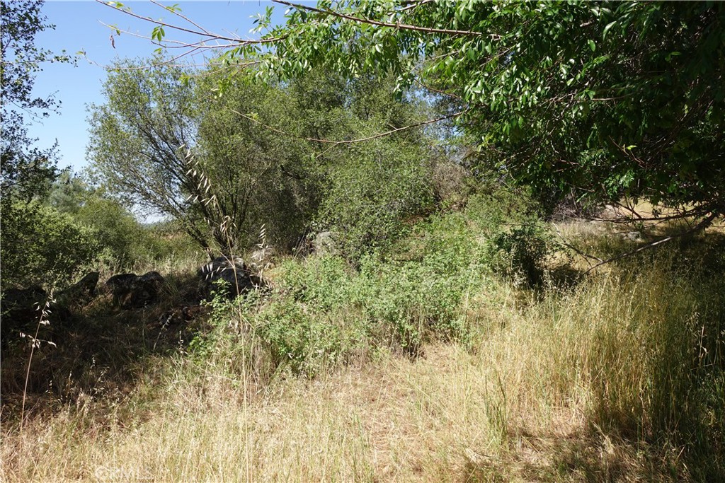 0 Running Deer Way Property Photo 3