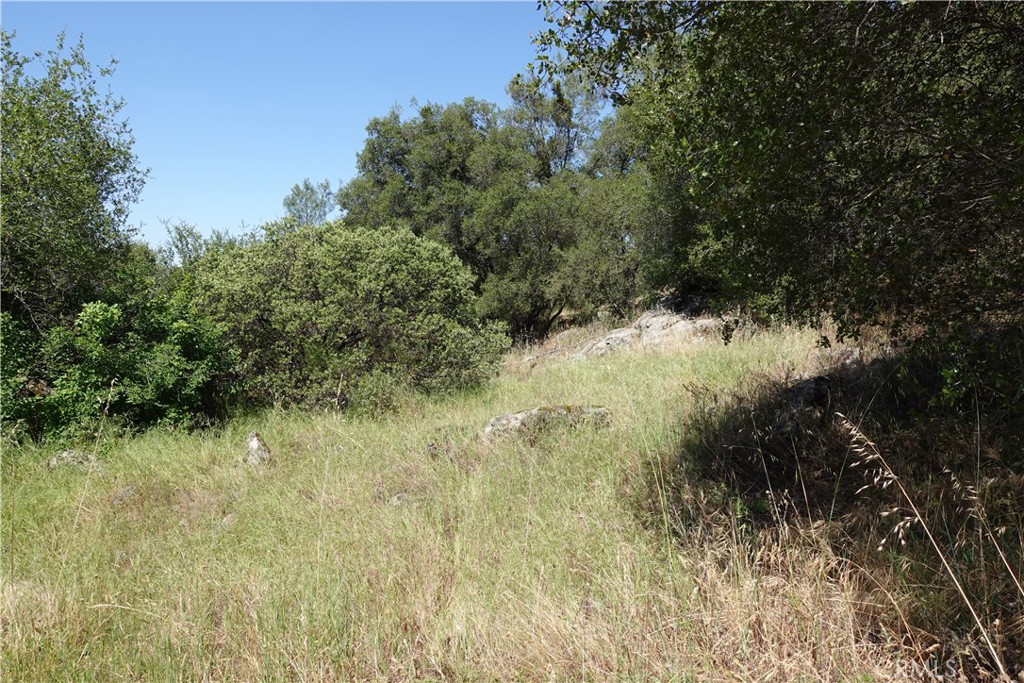 0 Running Deer Way Property Photo 4