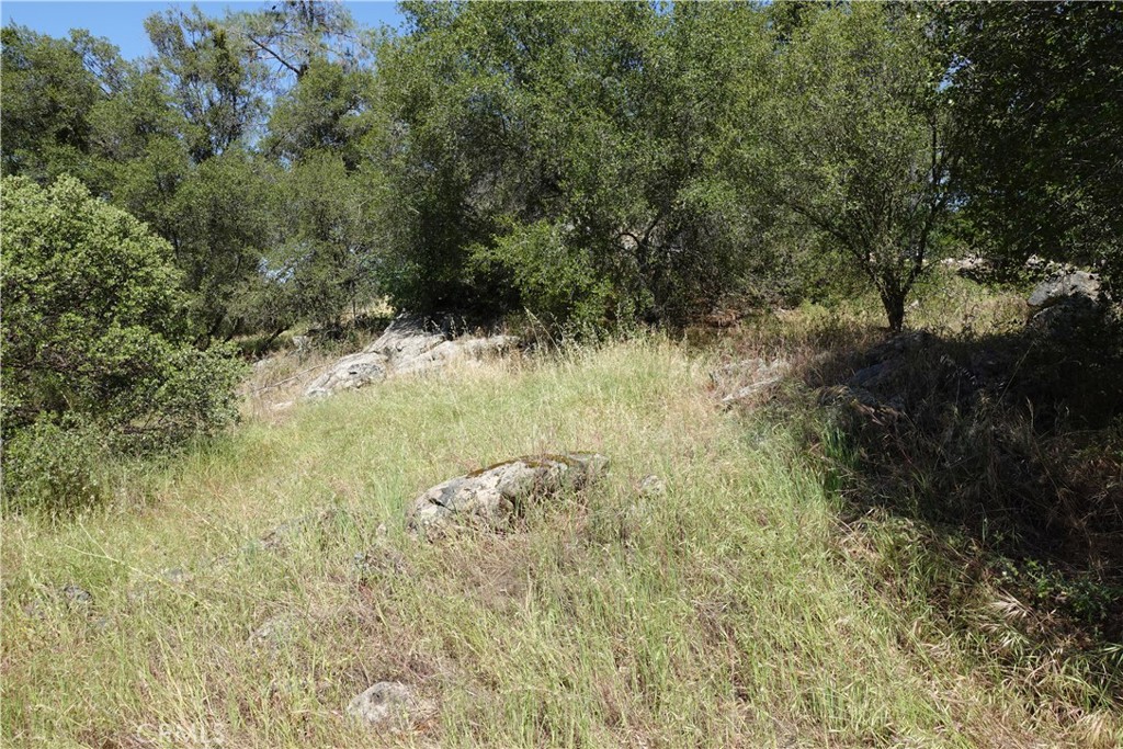 0 Running Deer Way Property Photo 6