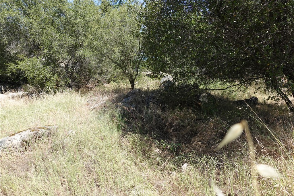 0 Running Deer Way Property Photo 7