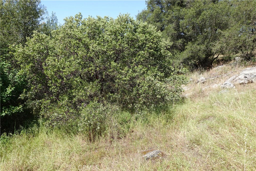 0 Running Deer Way Property Photo 8