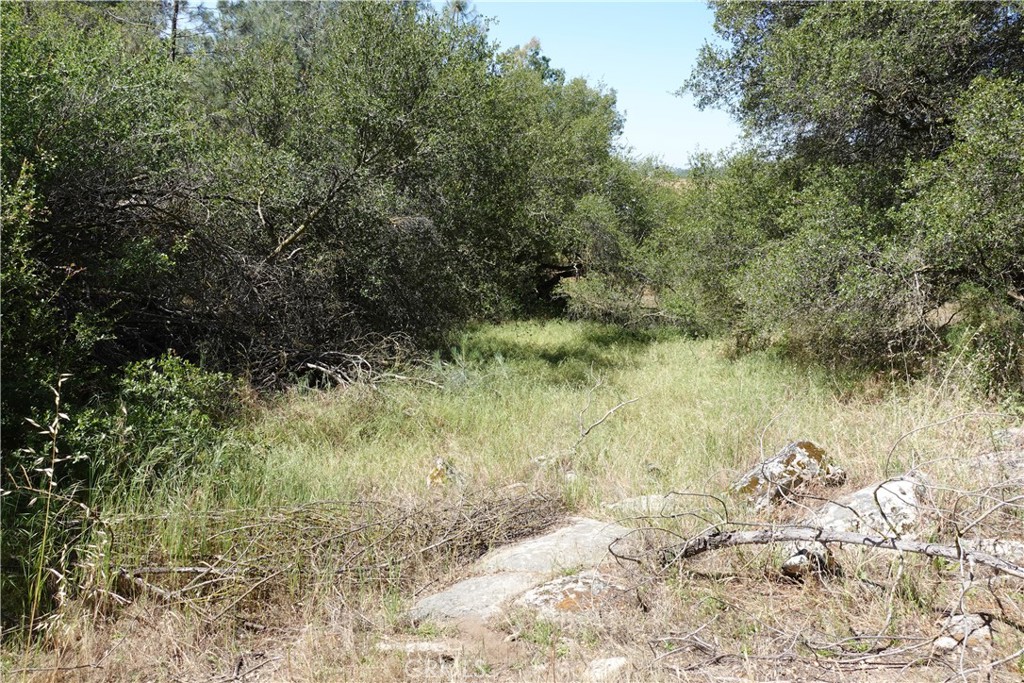0 Running Deer Way Property Photo 9