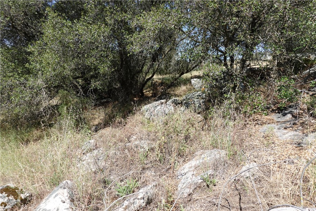 0 Running Deer Way Property Photo 10