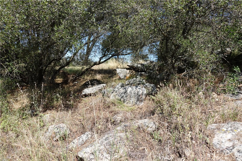 0 Running Deer Way Property Photo 11