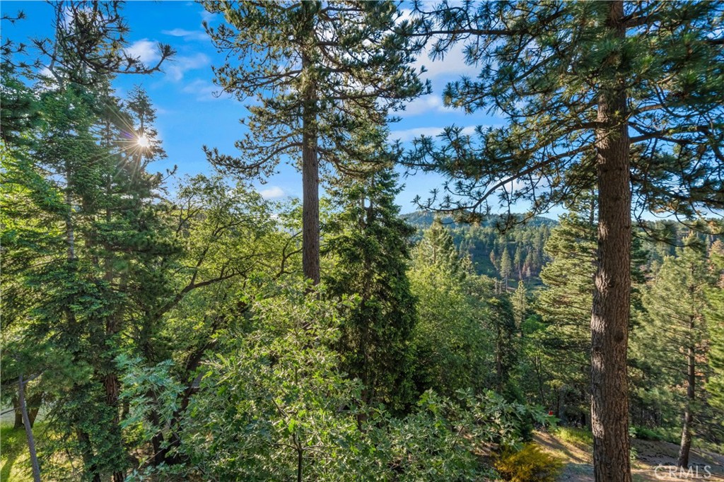 32061 Pine Cone Property Photo 9