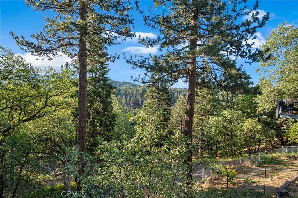 32061 Pine Cone Property Photo 10