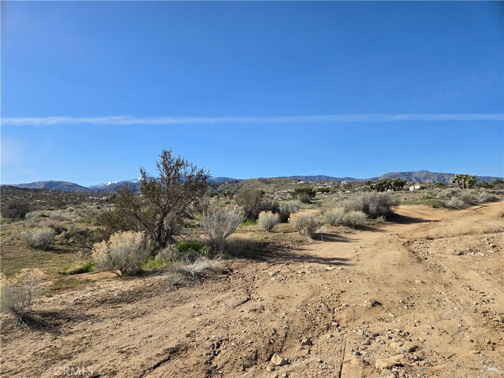 0 Snow Line Drive Property Photo 3