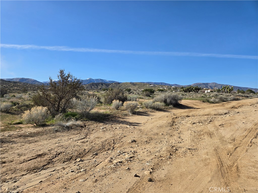 0 Snow Line Drive Property Photo 6