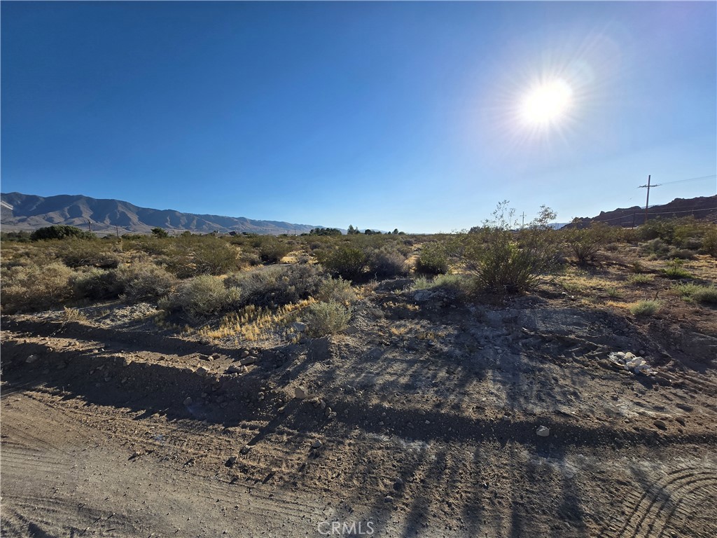 0 Custer Property Photo 2