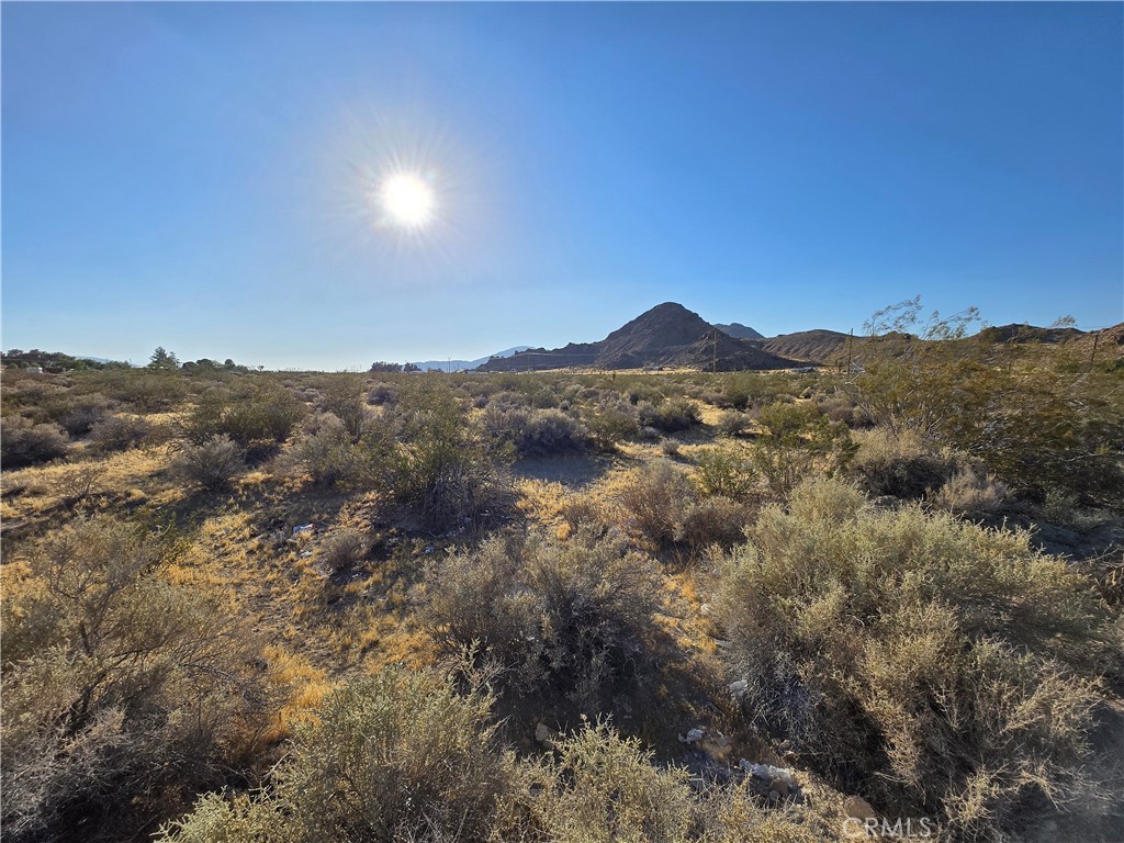 0 Custer Property Photo 1