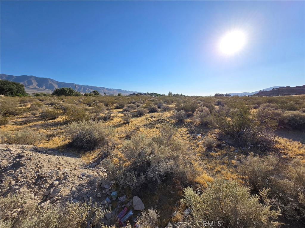 0 Custer Property Photo 3