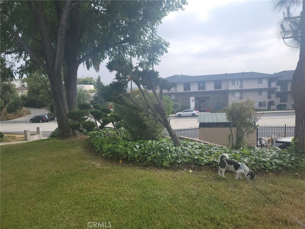 1818 Garvey Avenue B Property Photo 28