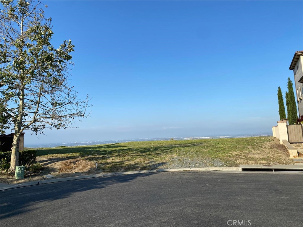 2572 Collinas Property Photo 7