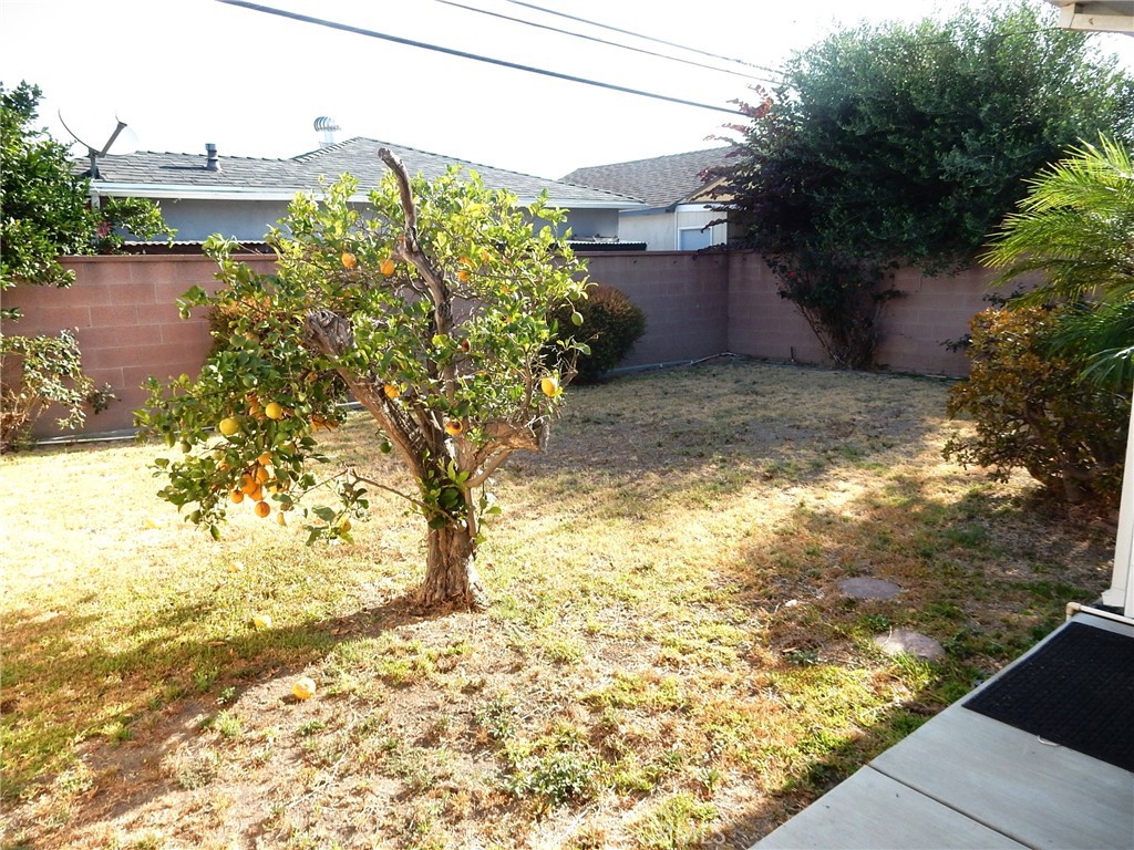 8157 Calendula Drive Property Photo 21