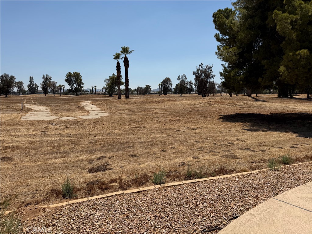 26623 Amhurst Court Property Photo 21