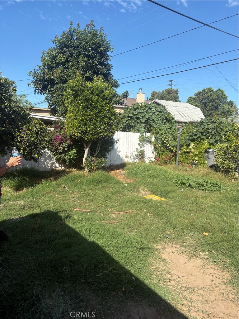 529 E 224th Street Property Photo 3