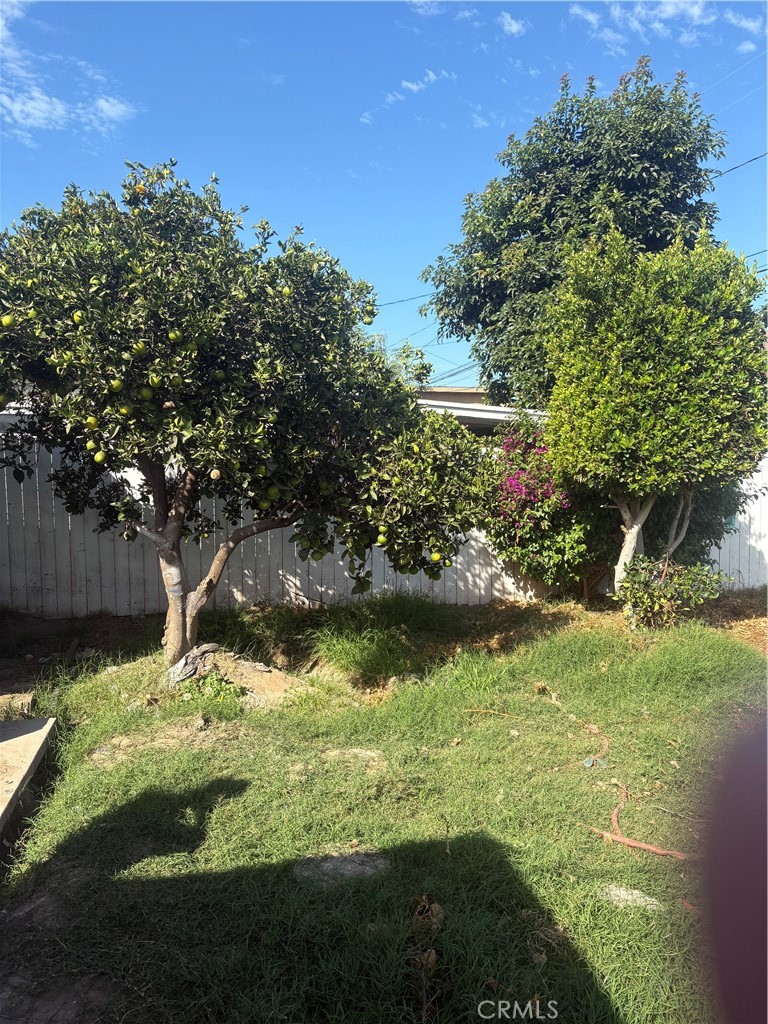 529 E 224th Street Property Photo 14