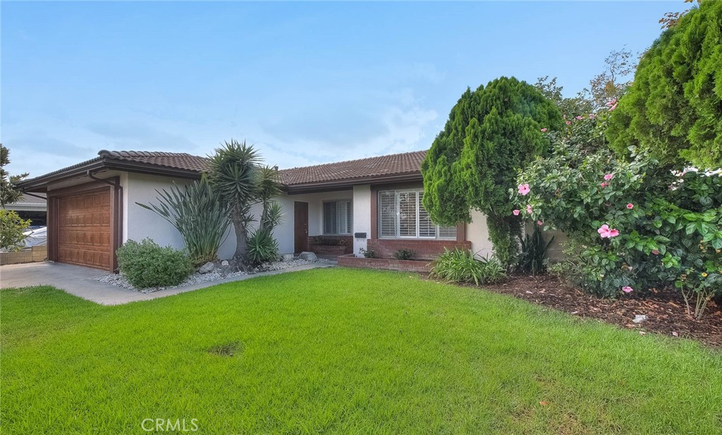 10702 Andy Property Photo 15