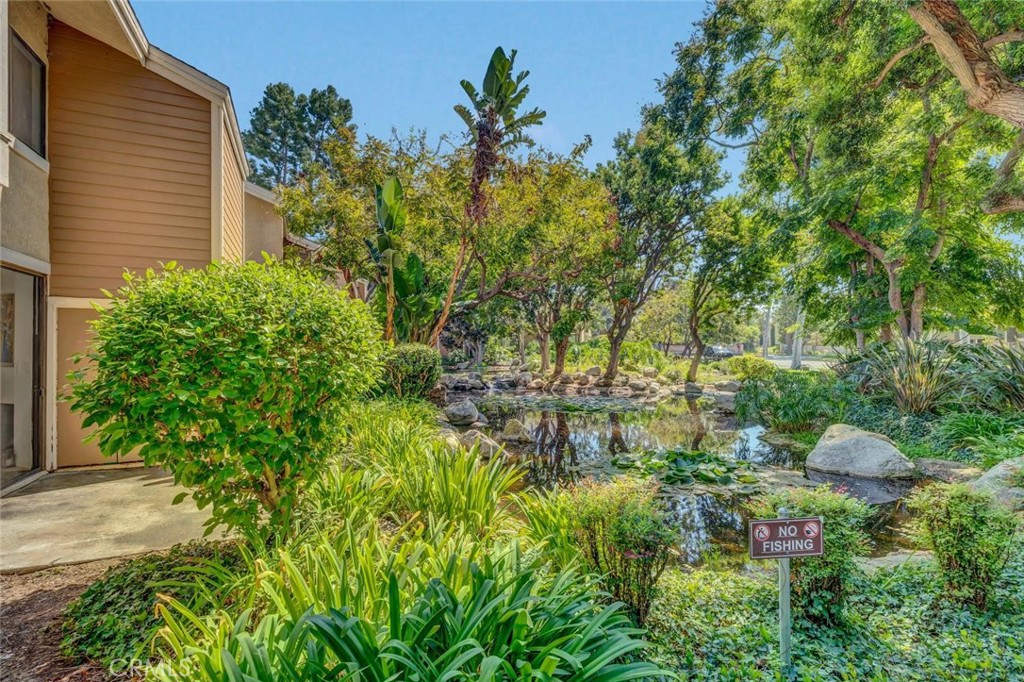 247 Pineview Property Photo 3