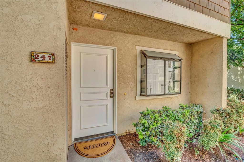 247 Pineview Property Photo 5