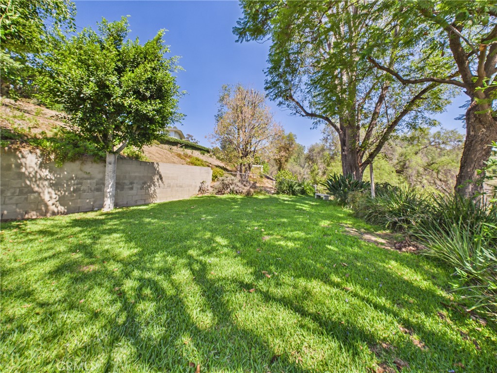 1441 El Terraza Drive Property Photo 27