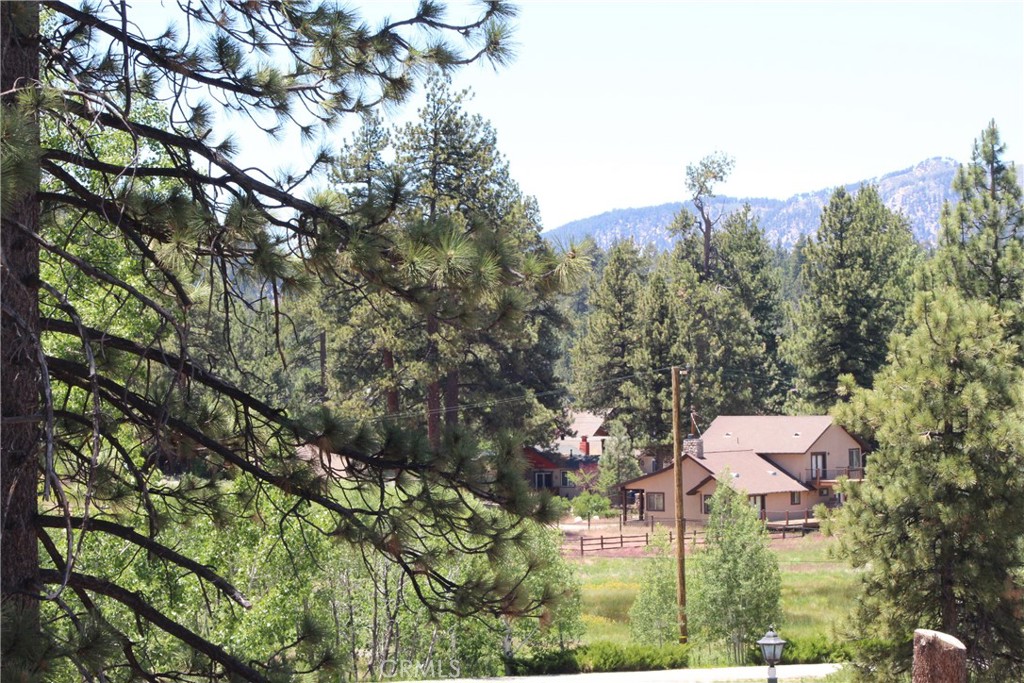 39933 Deer Property Photo 30